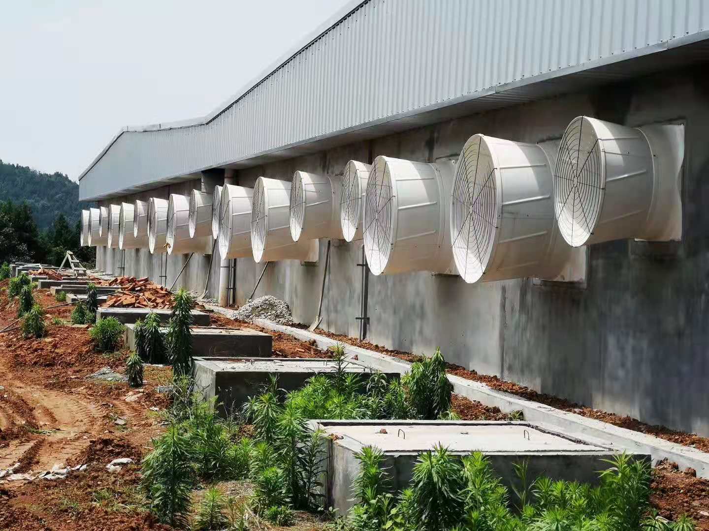 Exhaust Fans, Ventilation Fans,Automated Feeding Systems 