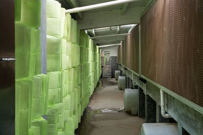Customized Automated Feed Line System Farm Use Animal Feed Conveyor with Silo & Hopper